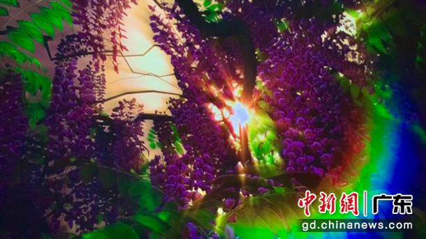 國際球幕數(shù)字藝術(shù)科普巡展廣州揭幕　主辦方供圖